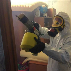 Уничтожение клопов в квартире. Наро-Фоминск